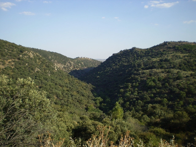  SIROSTOS DE ARROYOMOLINOS 
