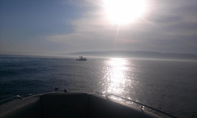 Profitez de la navigation 