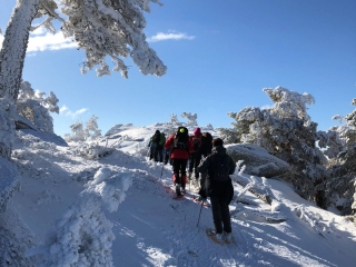 Ruta con raquetas de nieve Navacerrada 1/2 jornada