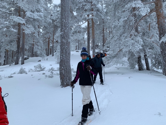 Raquetas de nieve en Navacerrada
