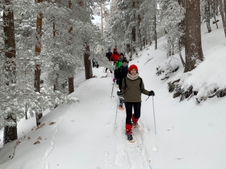 Itinéraire en raquettes et gastronomie à Guadarrama