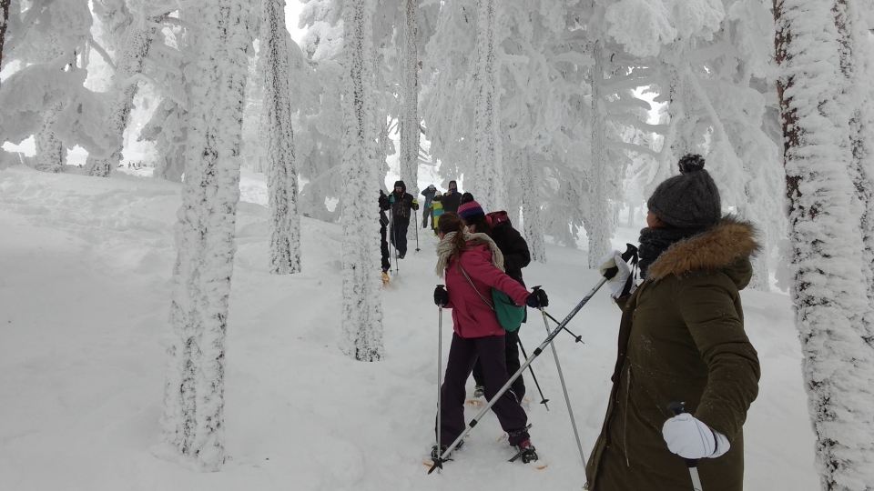  Raquettes en forêt 