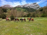 Ruta a caballo por la aldea Olalle, 1 hora