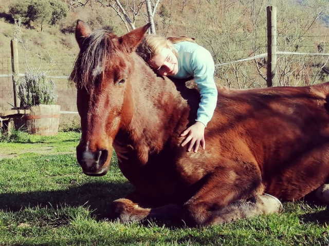 Niña disfrutando de un día ecuestre