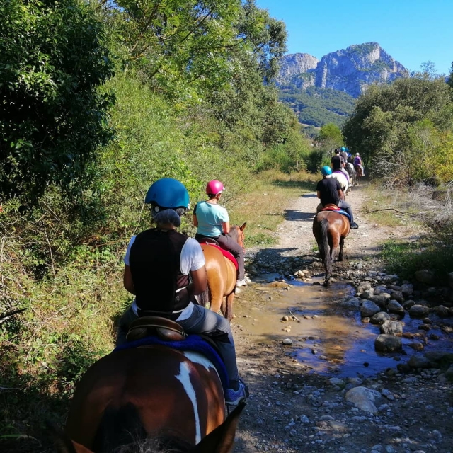  Itinerario equestre 