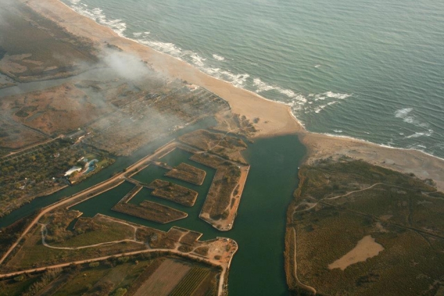 Sobrevuela la costa