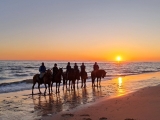 Horse route on Matalascañas beach, 2h