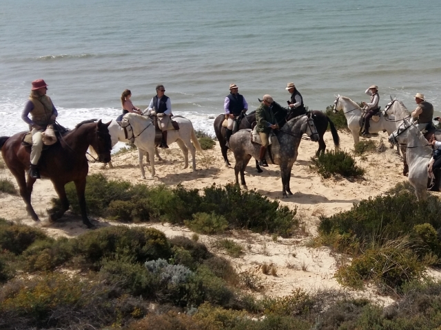 Caballos en Huelva