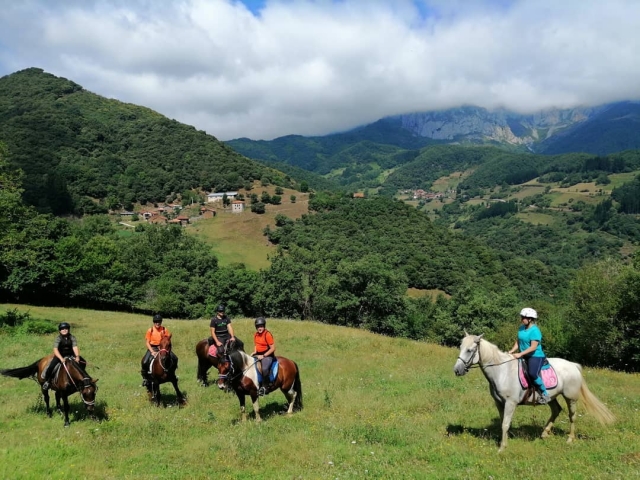 Grupo de amigos sobre los caballos