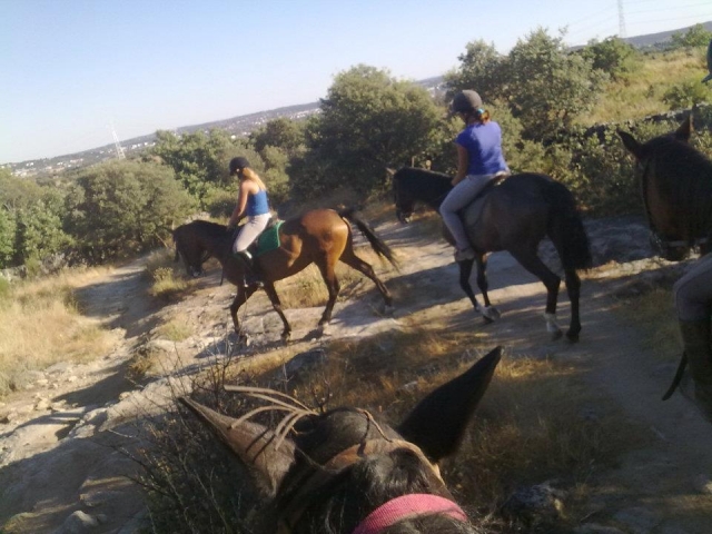 Reitroute 