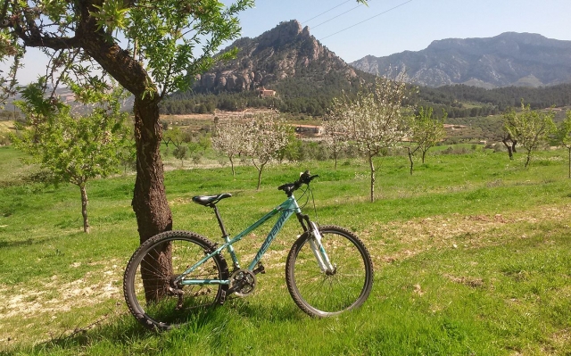  Bicicleta em plena natureza 