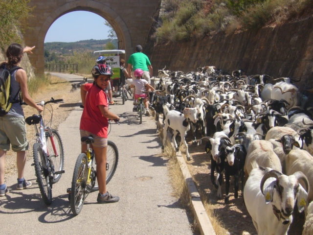 Rutas por Horta de Sant Joan