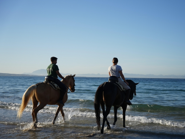  Passeggiata a cavallo sulla spiaggia