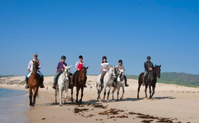Paseo a caballo en grupo