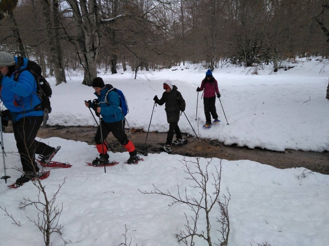  Mit Schneeschuhen einen Bach überqueren 