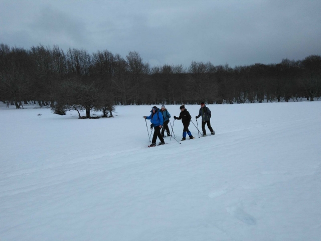  Mit Schneeschuhen durch die Schneedecke wandern 