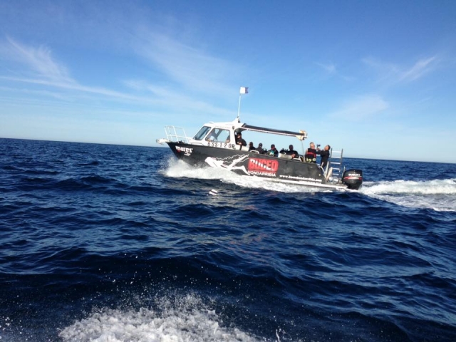 Barco de buceo