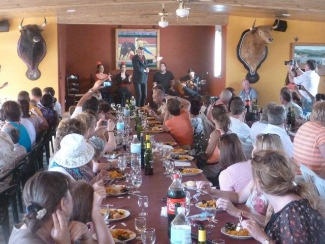 salon comedor