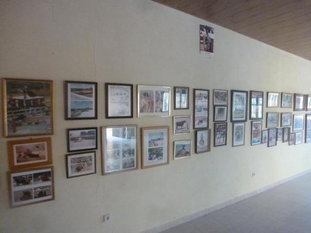 Recondando momentos fotograficos de eventos y toreros famosos