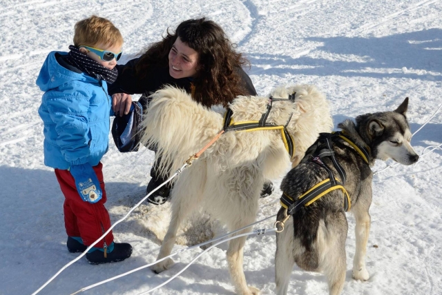  Il piccolo incontra i cani 