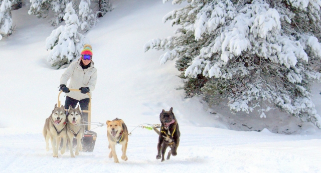  Percorso con la slitta da neve 