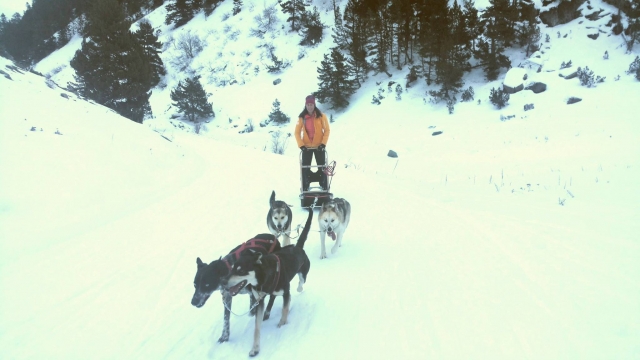  Slitta trainata da cani
