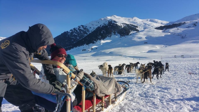 Experiência de Mushing 