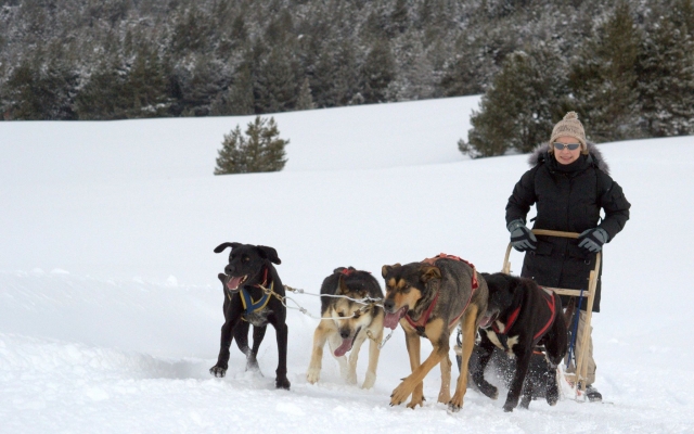 Paseo en mushing