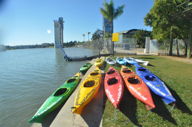  Fleet of kayaks to tour the Guadalquivir 