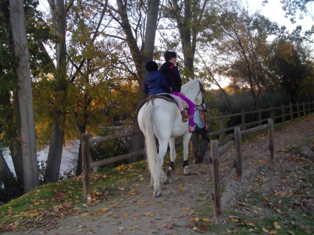  Bambini a cavallo 