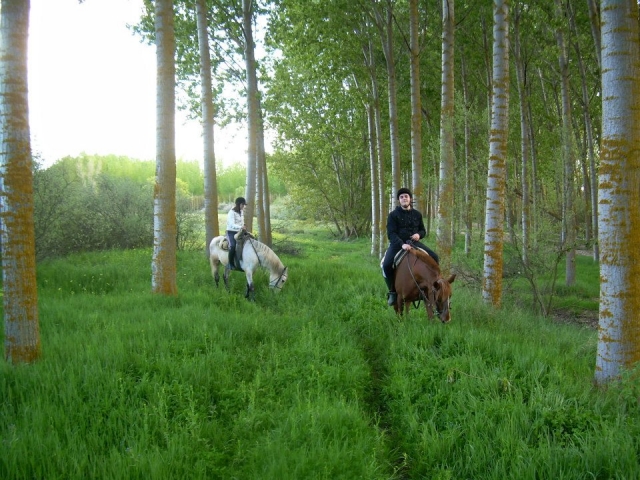  Percorso equestre nel bosco