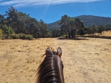 Rota de cavalos pela Serra Norte de Guadarrama 1H