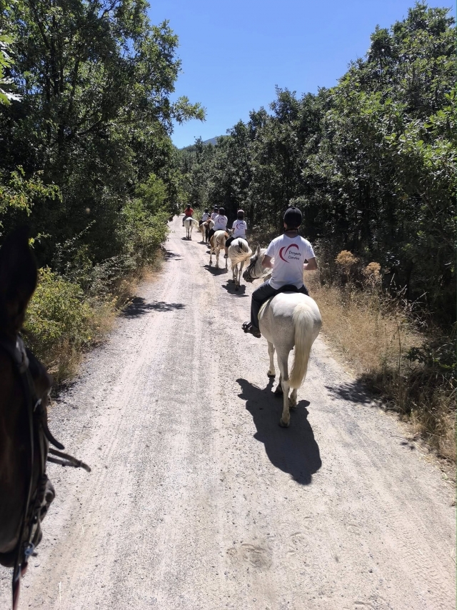 A cavalo pelos campos de Segóvia 