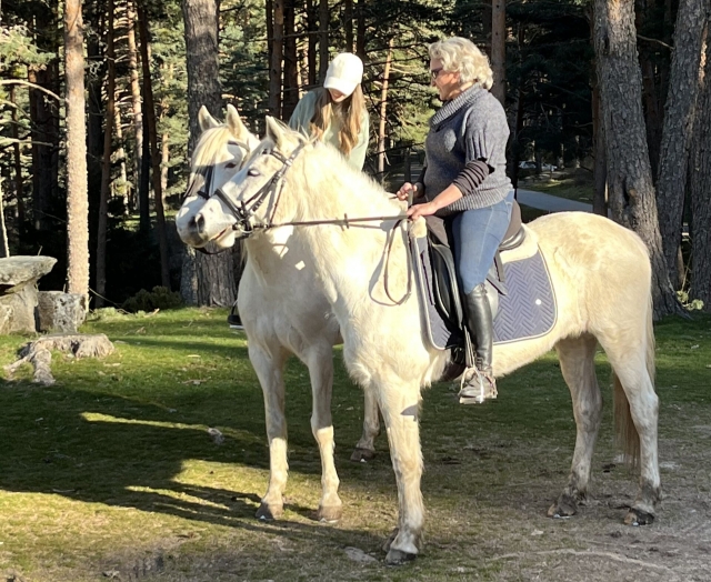 Sobre los lomos de un caballo de puraraza