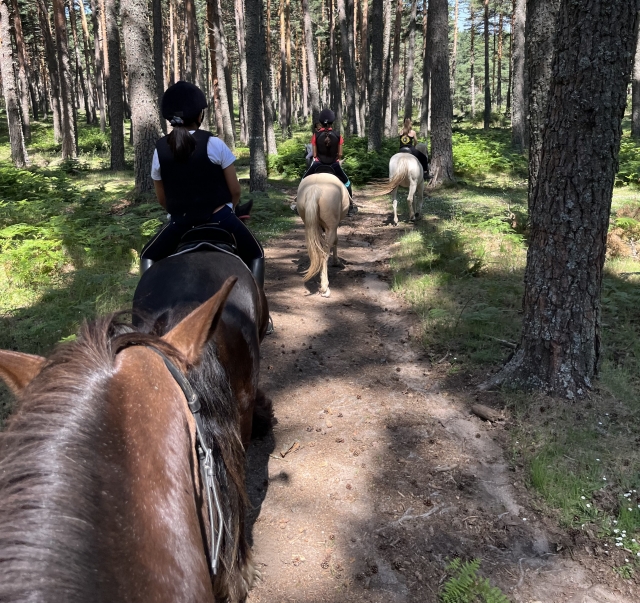 Cabalgando por la Sierra de Guadarrama