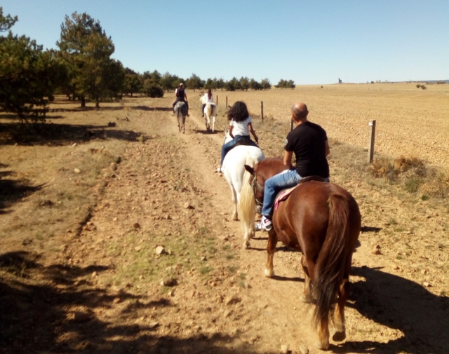 Ruta en familia