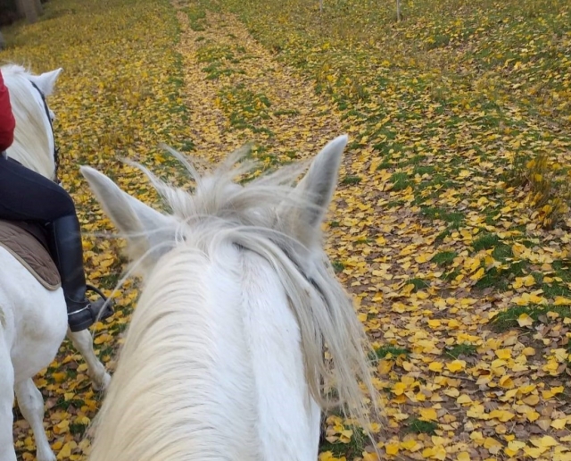 Rutas a caballo