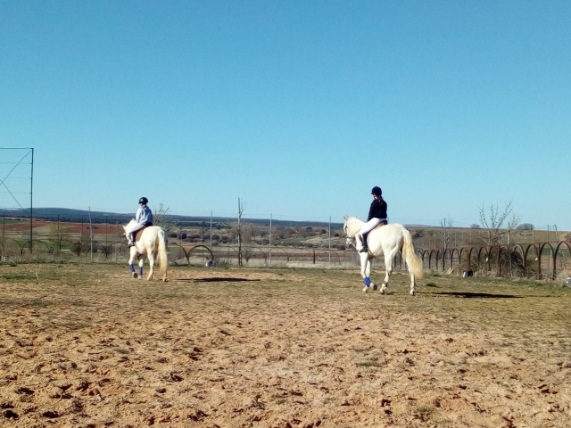 Ven a hacer nuestra ruta a caballo