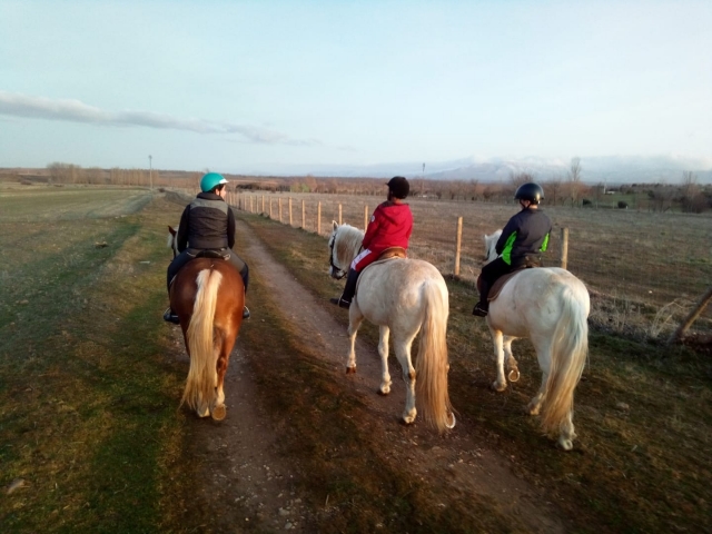 Ven a montar a caballo