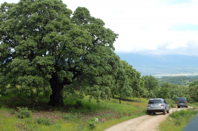 Geführte Offroad-Tour durch die Landschaft von Madrid 