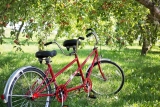 Noleggio bici tandem per l'intera giornata