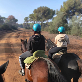 Doñana 周边 2 人骑马路线 2 小时