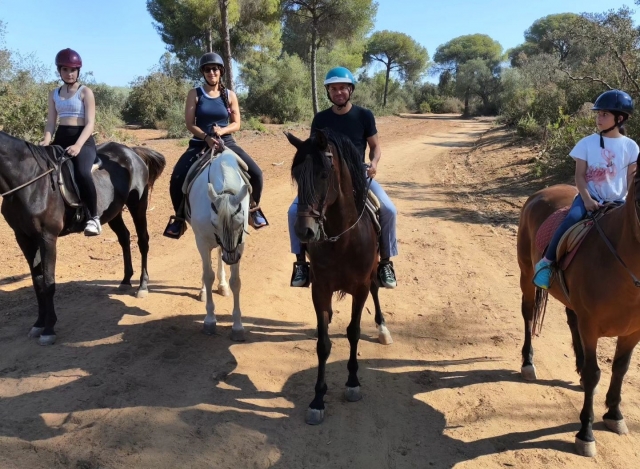Ruta a caballo de 1 hora en Sevilla