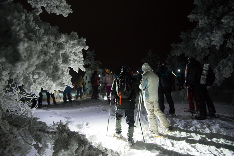 Raquetas en grupo en Navacerrada