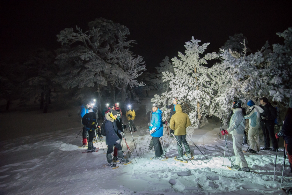 Salida en raquetas nocturna