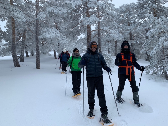Raquetas de nieve por el bosque