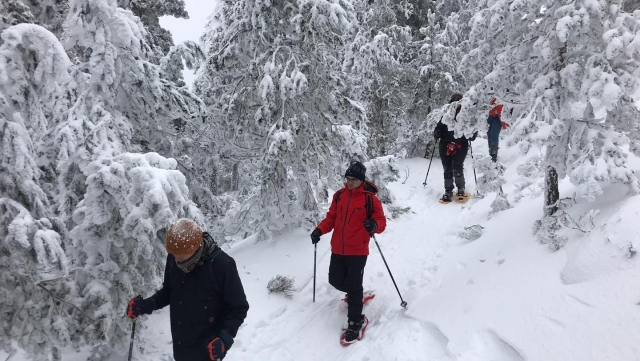 Rutas en raquetas de nieve divertidas