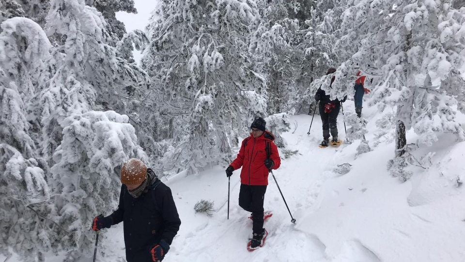 Rutas en raquetas de nieve divertidas