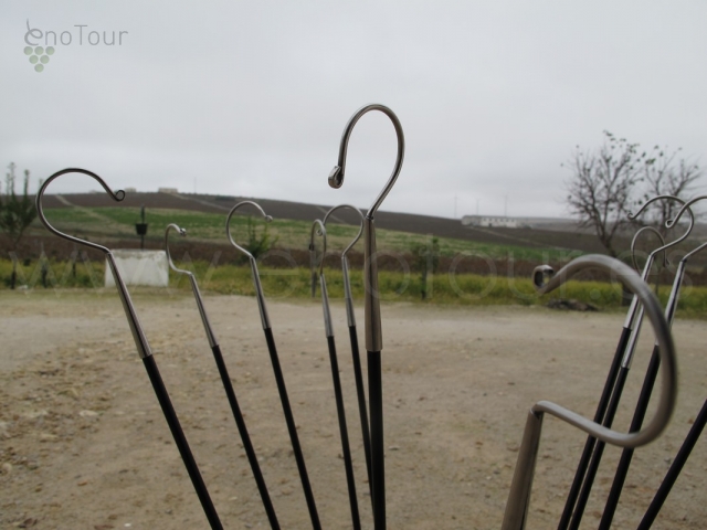  Visite du Vignoble 