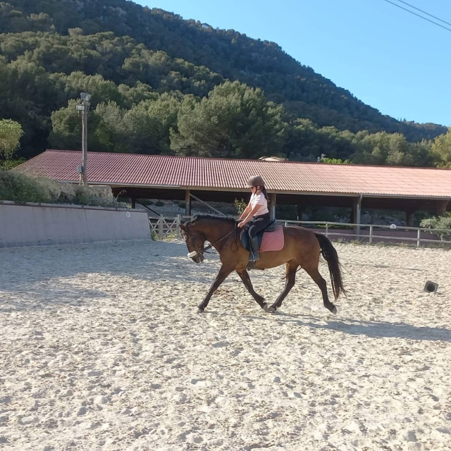 Cours d'initiation avant l'itinéraire 